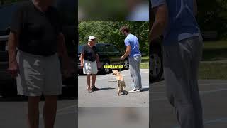 Offensive Talking Dog Prank! via @SethMeiring