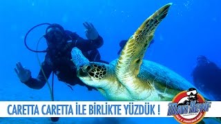 Caretta Caretta ile Birlikte Yüzdük! / Kaş Dalışı - 05.11.2016