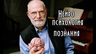 Оливер Сакс - Нейропсихология познания и понимание