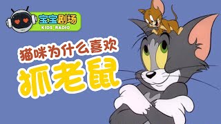 猫咪为什么喜欢抓老鼠