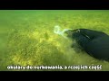 scuba diver found something he never should shocking find during diving