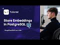 PostgreSQL as VectorDB - Beginner Tutorial