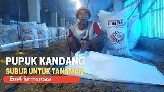 Pupuk kandang ayam close house Laris di pesan