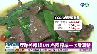 萊豬將叩關 UN.各國標準一次看清楚｜華視新聞 20201224