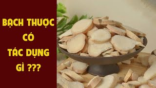 Cây Bạch Thược Có Tác Dụng Gì? || Dược Liệu Hoà Bình