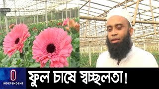 বিদেশী ফুল 'জারবেরা' চাষ করে স্বাবলম্বী হচ্ছেন উদ্যোক্তারা! || Jarbera Savar