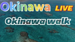 【沖縄散歩】沖縄最高気温２３度　南の島ライブ配信　#南の島 　#トロピカルビーチ