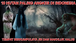 BIKIN MERINDING‼️ 10 HUTAN PALING ANGKER DI INDONESIA,,DIPENUHI MAKHLUK GHAIB #ronjitv