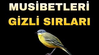 Her musibet, affedilecek bir günah için gelir |Volkan aksoy