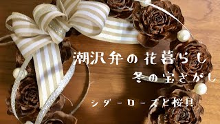 【暮らしvlog】ヒマラヤ杉の木の実/おから炒りとぜんざいのお昼ご飯/桜貝をさがして…！