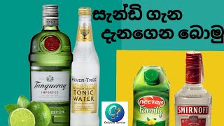 හරිම විදිහට බොමු 🥃#cocktailstraveler#