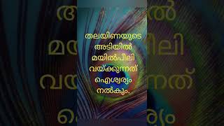 ഐശ്വര്യത്തിന് മയില്‍പ്പീലി ഇങ്ങനെ വെക്കാം #positiveenergy