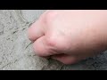 how to do natural real leaf imprint imprinting impressions on cement with leaves diy printing