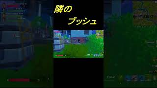 【Fortnite】隣のブッシュｗ＃フォートナイト#Shorts