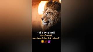 ધોળા દિ એ દાટી દઈએ... 🦁💯👿