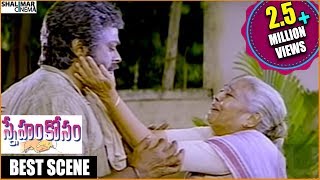Sneham Kosam Movie || Chiranjeevi & Nirmalamma Best Emotional Scene || Chiranjeevi || Shalimarcinema