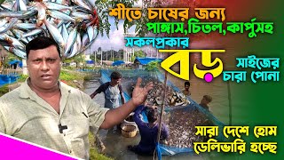 শীতে চাষযোগ্য সকল চারা পোনার দাম ও কোথায় পাবেন। Maser Ponar Dam Secret NO ONE Tells You About!