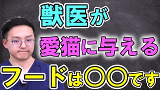 猫のごはんそれで大丈夫？獣医が飼い猫にあげるキャットフードと選び方を解説！