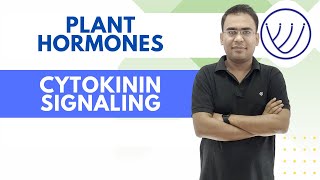 CYTOKININ SIGNALING | PLANT HORMONES | BY NILESH SONI