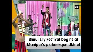 Shirui Lily Festival begins at Manipur’s picturesque Ukhrul