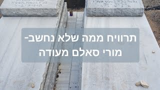 להרוויח בקלות- מורי סאלם מעודה