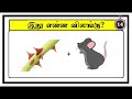 guess the animal quiz 2 brain game riddles tamil puzzles tamil tamil quiz timepass colony