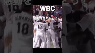 WBC 決勝！優勝の瞬間！