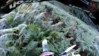 POV Wade Young #55 | Enduro Extreme Licq 2018 by Jaume Soler