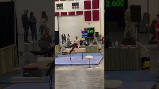 2024 SGAC Men’s Invitational - Pommel 11.5