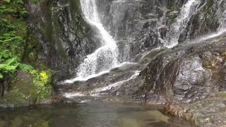 白糸の滝（福岡県糸島市）（Shiraito Waterfall (Itoshima City, Fukuoka Prefecture)）