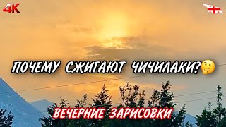 ПОЧЕМУ СЖИГАЮТ ЧИЧИЛАКИ? 🤔 ЗИМНИЕ ВЕЧЕРНИЕ ЗАРИСОВКИ. МУЗЫКАЛЬНАЯ ПАУЗА