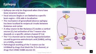 NUR51303 CH15 Nervous System 5