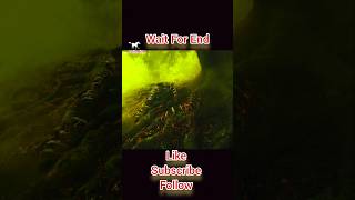 Miles Teller and Anya Taylor-Joy ACTION TIME #shortsvideo number 75 #viral #highlight #shortsfeed