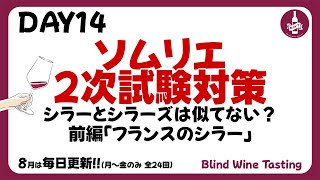 【ソムリエ2次試験対策】DAY14 シラーとシラーズは似てない？前編「フランスのシラー」