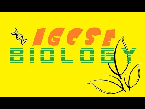 IGCSE BIOLOGY - PAPER 6 - Ultimate Guide ! - YouTube