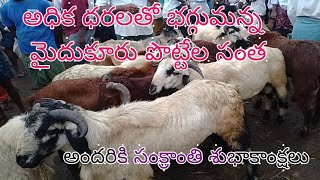 Mydukur santha మైదుకూరు సంత