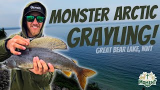 UNBELIEVABLE Arctic Grayling Fishing! | Great Bear Lake, NWT | 40+ Fish in one day!