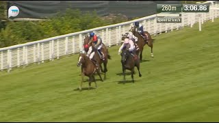 英國古活盃 Goodwood Cup 一級賽 G1 3209m 2024-07-30 饒舌達人 Kyprios 古活馬場 Goodwood Racecourse