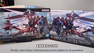 Bandai VS XFS Immortal Justice Gundam Bootleg HG 1/144