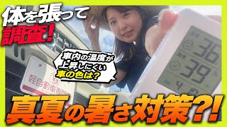 【車内の温度検証】1番車内が熱くなりやすいボディーカラーは？オールメーカー様々な色で試してみた！