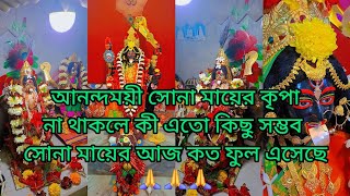 আনন্দময়ী সোনা মায়ের কৃপায় আজ কতো ফুল ভক্তরা দিয়ে গেলো please support my channel 🙏