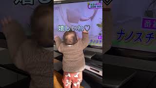 #赤ちゃん #baby #4月生まれ #男の子 #男の子ママ #主婦 #vlog #育児 #子供 #子育て #3歳児 #癒し #つかまり立ち #おもしろ #思い出 #かわいい