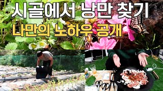 리스크 없는 나의 낭만 있는 시골생활