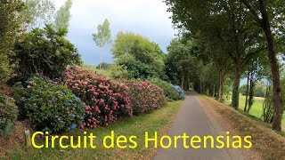 Circuit des Hortensias Ploermel Brittany France. Walking around this 3km trail of 5500 Hydrangeas.