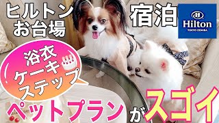 ヒルトンお台場　最新プラン【愛犬とお泊り】ワンニャイトステイ+plus／朝食付きがすごかった！#ホカンス【前編】