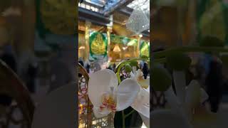 17 Rajab Karbala Live From Karbala Imam Hussain As Shrine