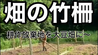 放置竹林で伐採した竹で柵を作り、耕作放棄地を畑に再生していく。