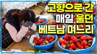 나 다시는 한국에 안 갈래 한국에 있을 땐 말도 안 통하는 곳에서 매일 일만 하며 살아 매일 우울했던 베트남 며느리. 고향에 가자마자 확 바뀐 사연 │다문화 고부열전│알고e즘