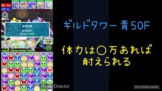 【ぷよクエ】ギルドタワー青50F