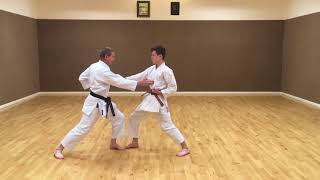 SKIF Kihon Ippon Kumite - Chudan 1 - 6